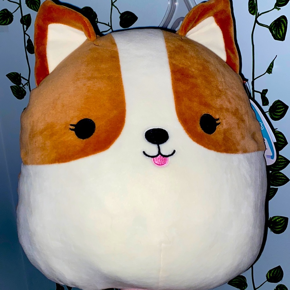 new with tags Regina the corgi squishmallow!!